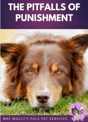 Free eBook entitled The Pitfalls of Punishment